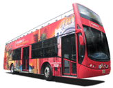 turibus Cd. de Mexico